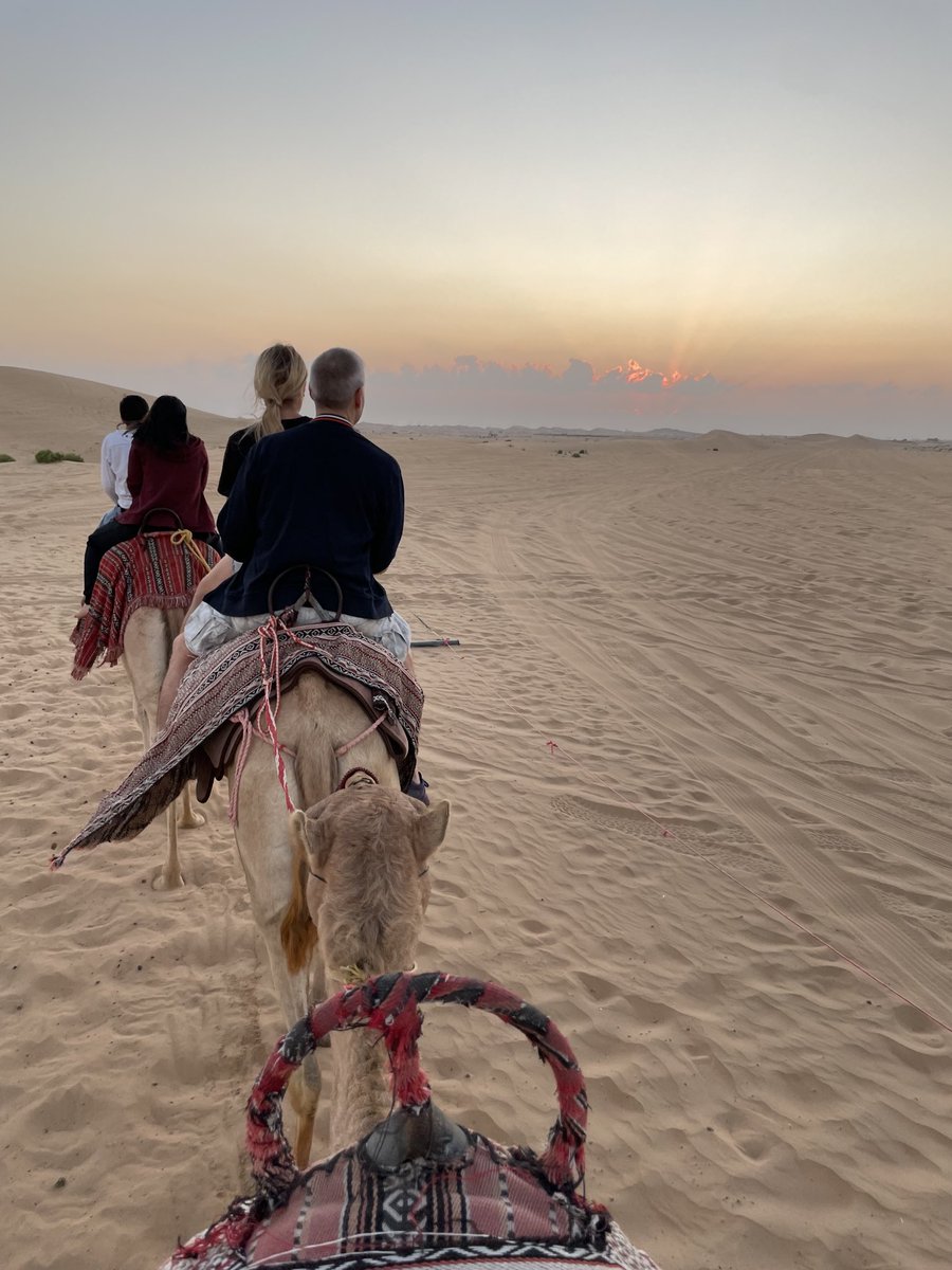 #Whiteknuckle #seatofyourpants dune safari! Followed by a sedate camel ride! 
When in #AbuDhabi…