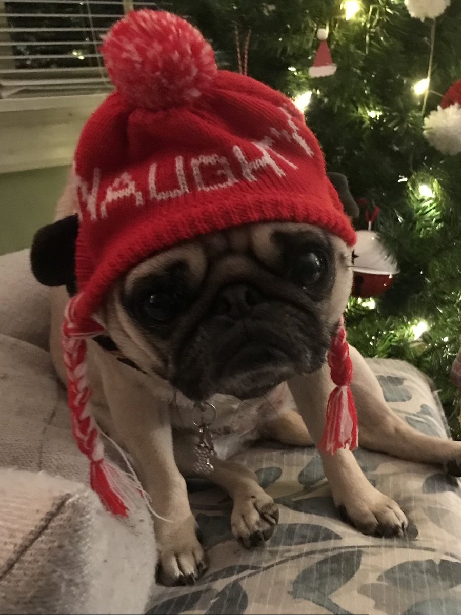 SpankyandToots tweet media