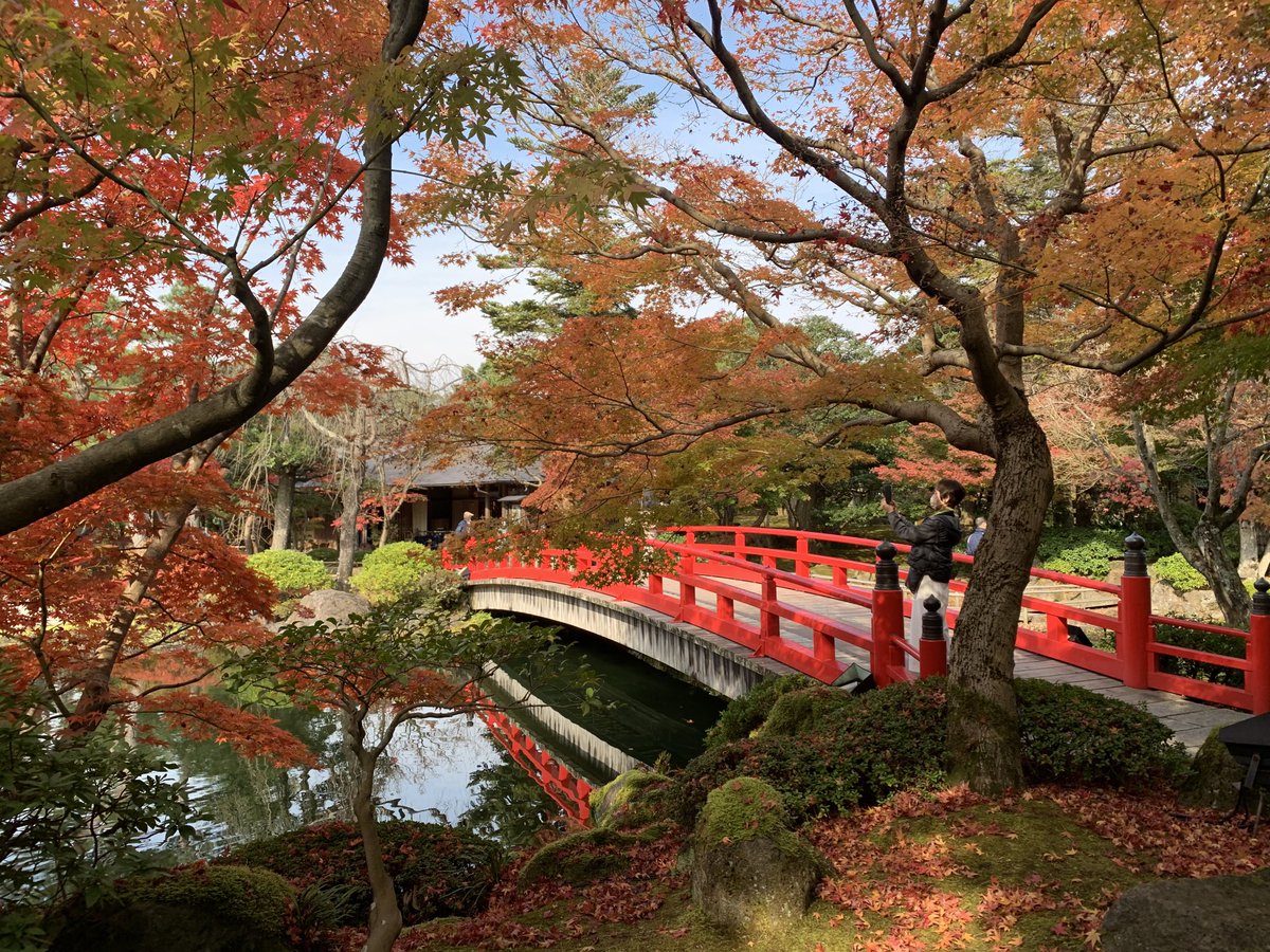 TehJennifer's tweet photo. A traditional Japanese bridge - arched and painted red - sits in her Autumn garden, almost camouflaged among the richly coloured maples.
Yet she still manages to draw the eye with her unstated invitation to cross...
#japanesebridge #japanesegarden #yuushien https://t.co/TBUnMenKBK