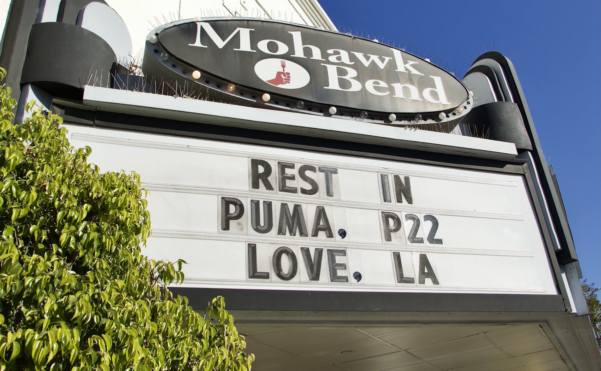 ShorealoneFilms's tweet photo. A heart felt message to our beloved #P22 above the #SilverLake restaurant #MohawkBend #RIPp22 12-18-22 https://t.co/U0q3KP1S8A