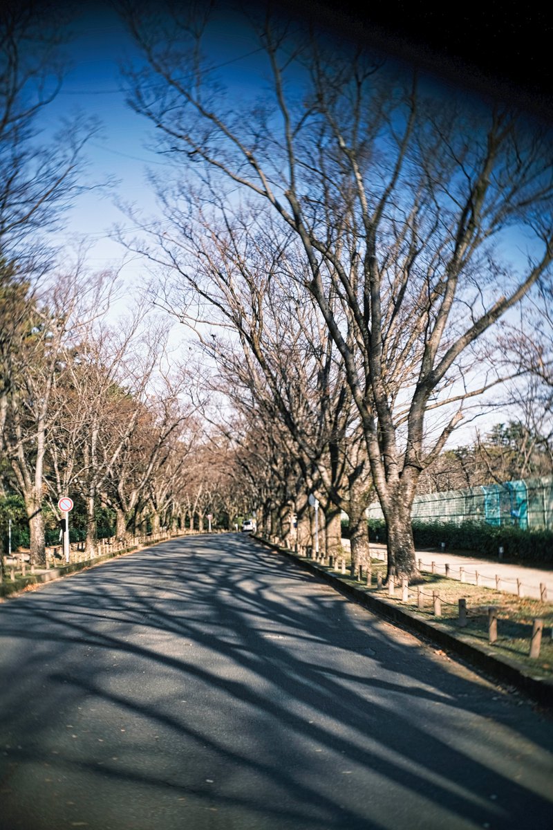 TakaMuto_photo's tweet photo. #oldlens #C_mount 
#XE4 #fujifilm #fujifilm_xseries https://t.co/Dtc3ZBaxGW
