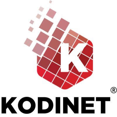 giremaki's tweet photo. #KODINET EST PRÊT ET A MESURE DE LIVRER LE PREMIER PERMIS DE CONDUIRE AU LENDEMAIN MÊME DE LA SIGNATURE DU CONTRAT. Nous sommes équipés et avons les moyens nécessaires pour ça, mais hélas que notre pays est pourri à certains niveaux ! #RDC https://t.co/3ZfnSxC1Oj