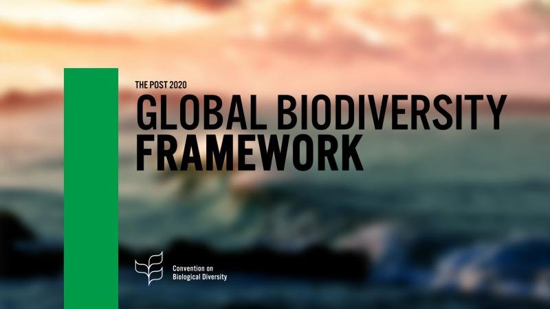 The ZSL delegation at #COP15 calls for an urgent improvement to the draft GBF text. For the recovery of species population abundance and reducing species' extinction risk, we need clear outcomes for 2030 not just 2050. Without 2030 milestones, action is being delayed by 28 years!