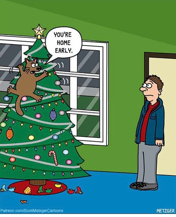 PrincessTatania's tweet photo. @CatFoodBreath Is Thing Two yelling for #OccupyTree? https://t.co/Oq4djGV2z5