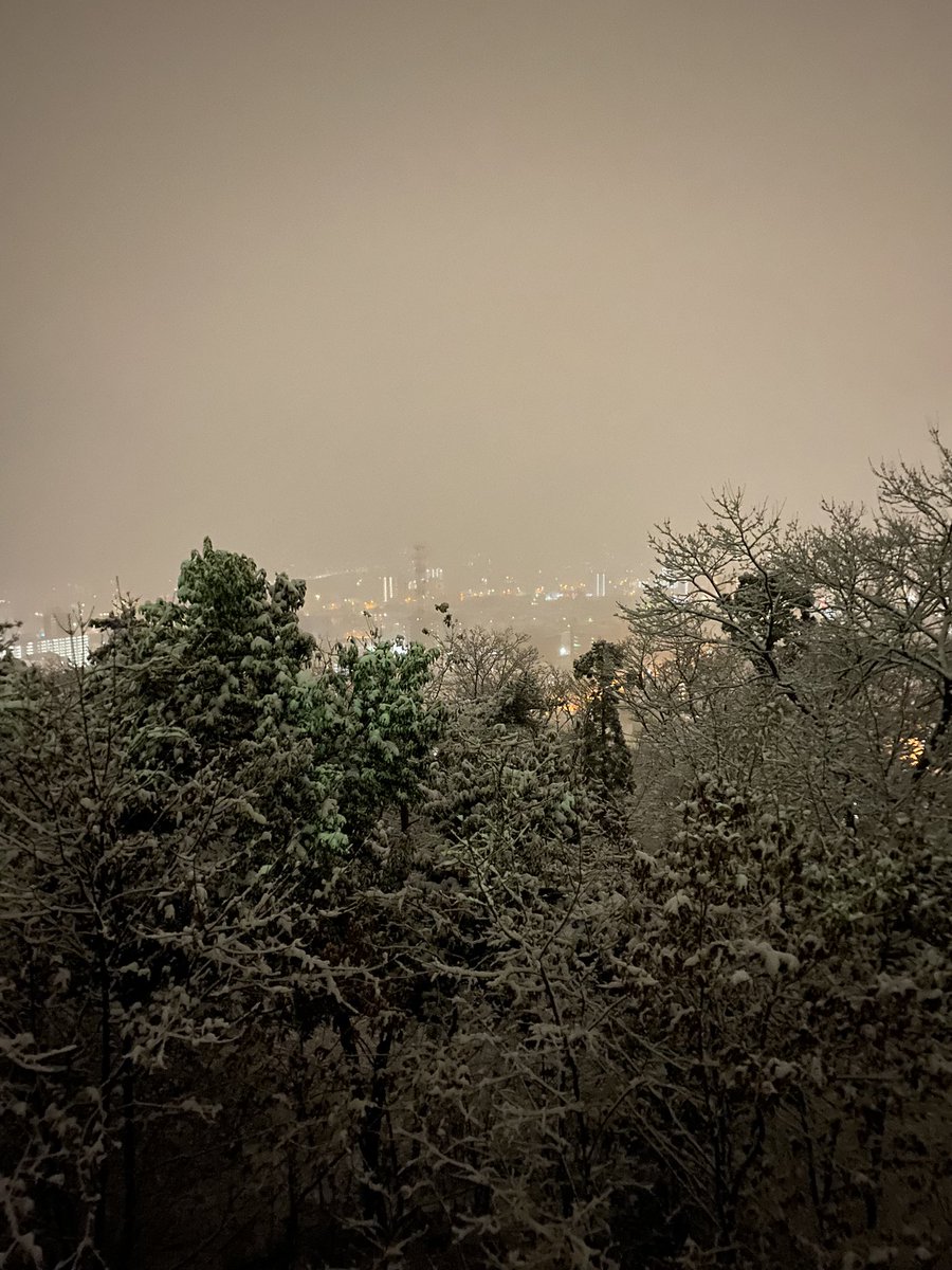 頭打った
たんこぶ出来た