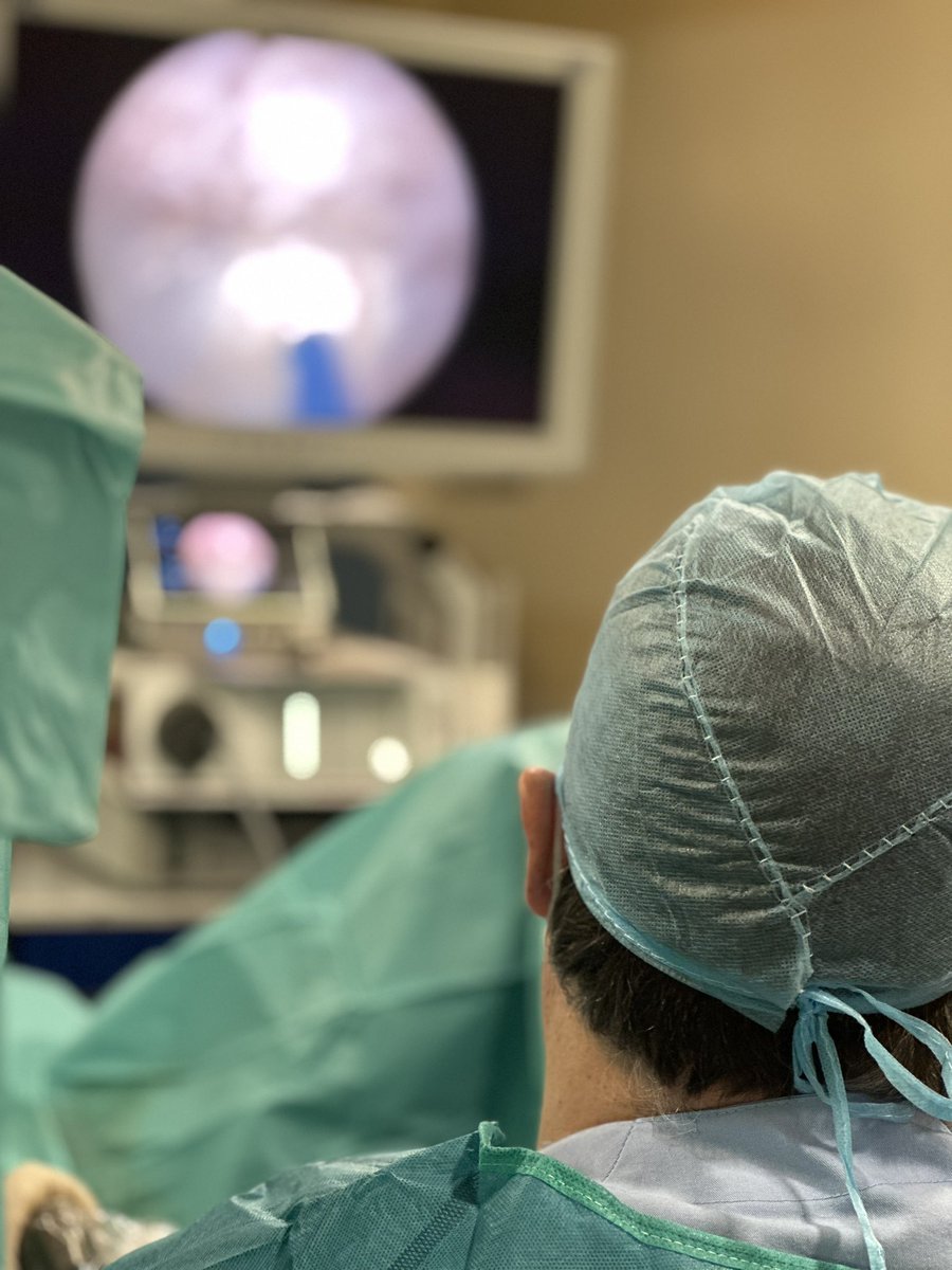 Carlos Andrade Becerra tweet media