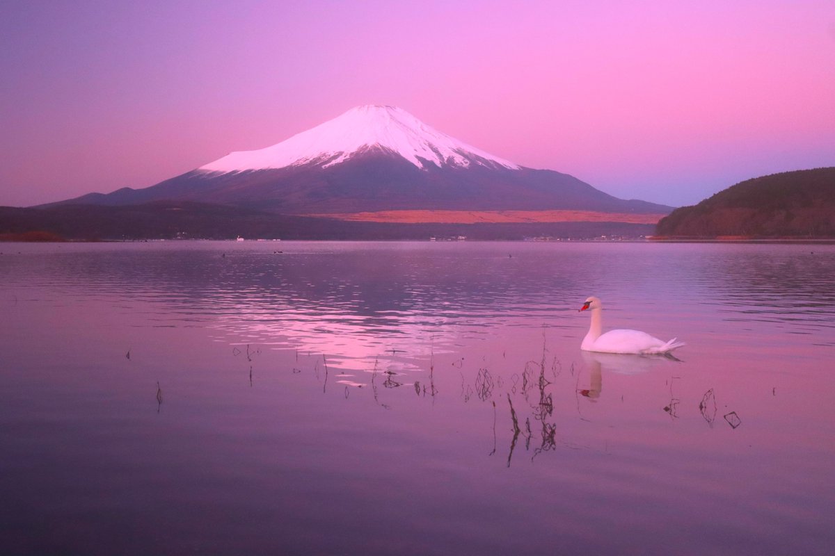 おはようございます 今日も寒いですね 今週も頑張りましょう ＃富士山