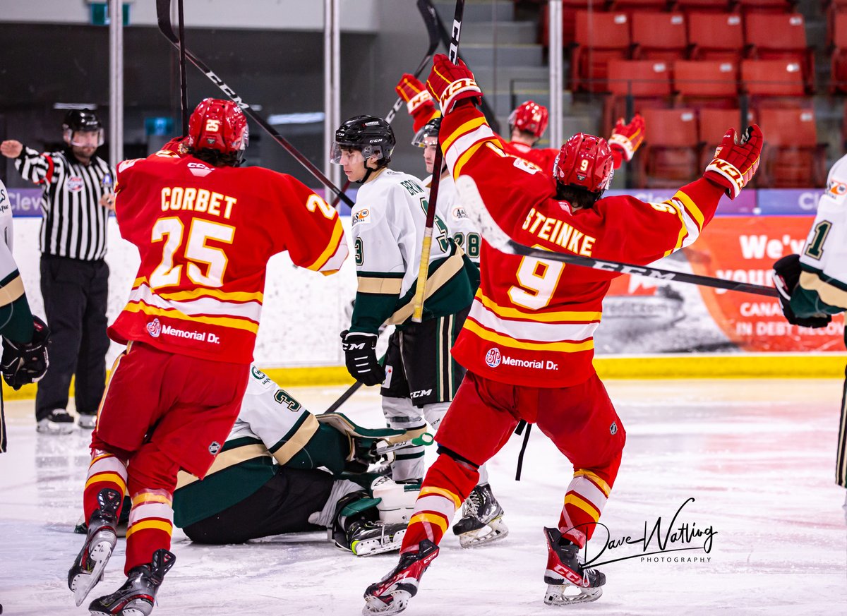 Dave Watling Photography tweet media