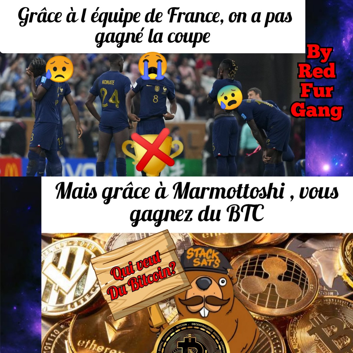RedFurGang's tweet photo. @CryptoJ20 @Marmottoshis Même sur @Marmottoshis ??? Aujourd'hui ??? Easy 🤣

Ce même c est un 3-0 . Allez booster🚀 mon post si vous kiffez 😉✌️
#lafranceaperdu #marmottoshis #hotmeme #soccercup #ArgentinaWins https://t.co/hZMEn2I7hd