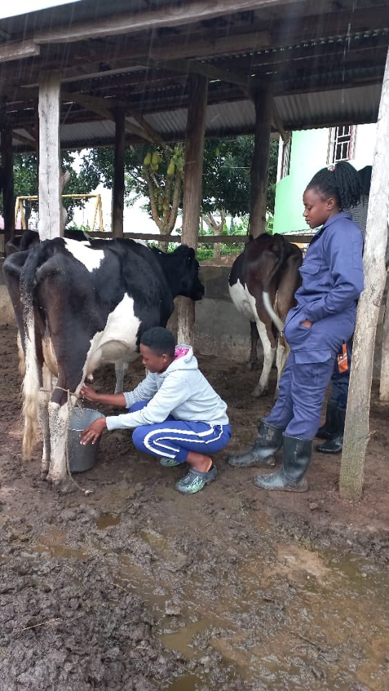 Stema Farms tweet media