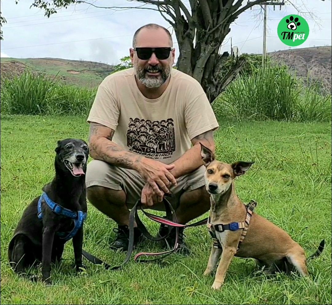 tmtransportepet's tweet photo. @tmtransportepet de Salvador/BA X Rio de Janeiro/RJ
⁣𝗧𝗠 𝗧𝗿𝗮𝗻𝗽𝗼𝗿𝘁𝗲 𝗣𝗲𝘁
Transporte terrestre de pets
⁣
📲𝗪𝗵𝗮𝘁𝘀 (𝟱𝟭) 𝟵𝟵𝟯𝟭𝟬-𝟮𝟮𝟱𝟵 ⁣
📧𝗰𝗼𝗻𝘁𝗮𝘁𝗼@𝘁𝗺𝘁𝗿𝗮𝗻𝘀𝗽𝗼𝗿𝘁𝗲𝗽𝗲𝘁.𝗰𝗼𝗺.𝗯𝗿 ⁣
🌐𝘄𝘄𝘄.𝘁𝗺𝘁𝗿𝗮𝗻𝘀𝗽𝗼𝗿𝘁𝗲𝗽𝗲𝘁.𝗰𝗼𝗺.𝗯r https://t.co/IcCq5UZ9Da