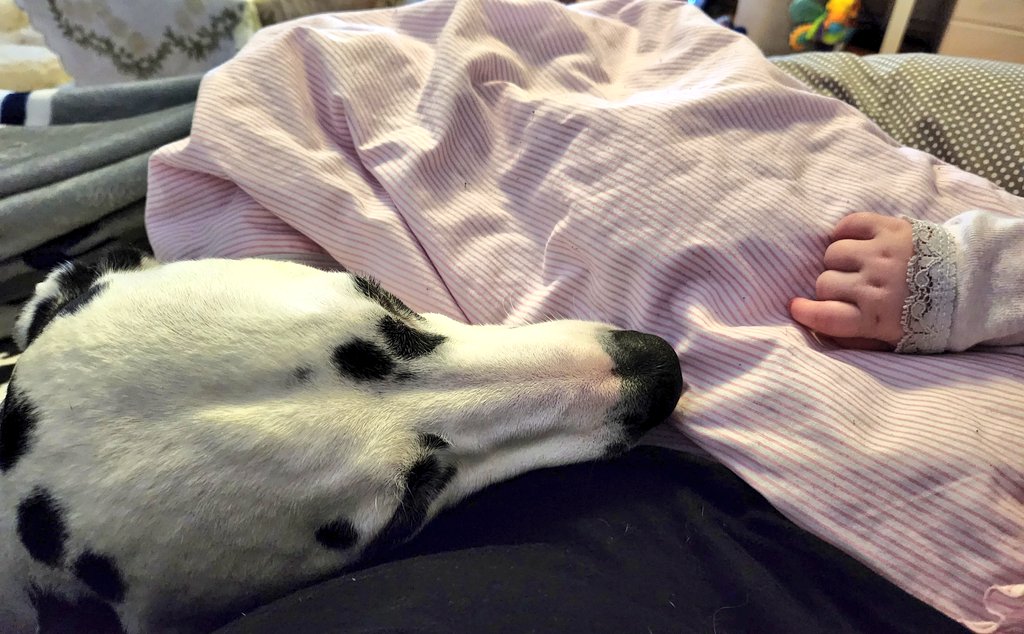 Der Mini Mensch und ich kuscheln mit Frauchen. Gute Nacht ihr Lieben 😊😘