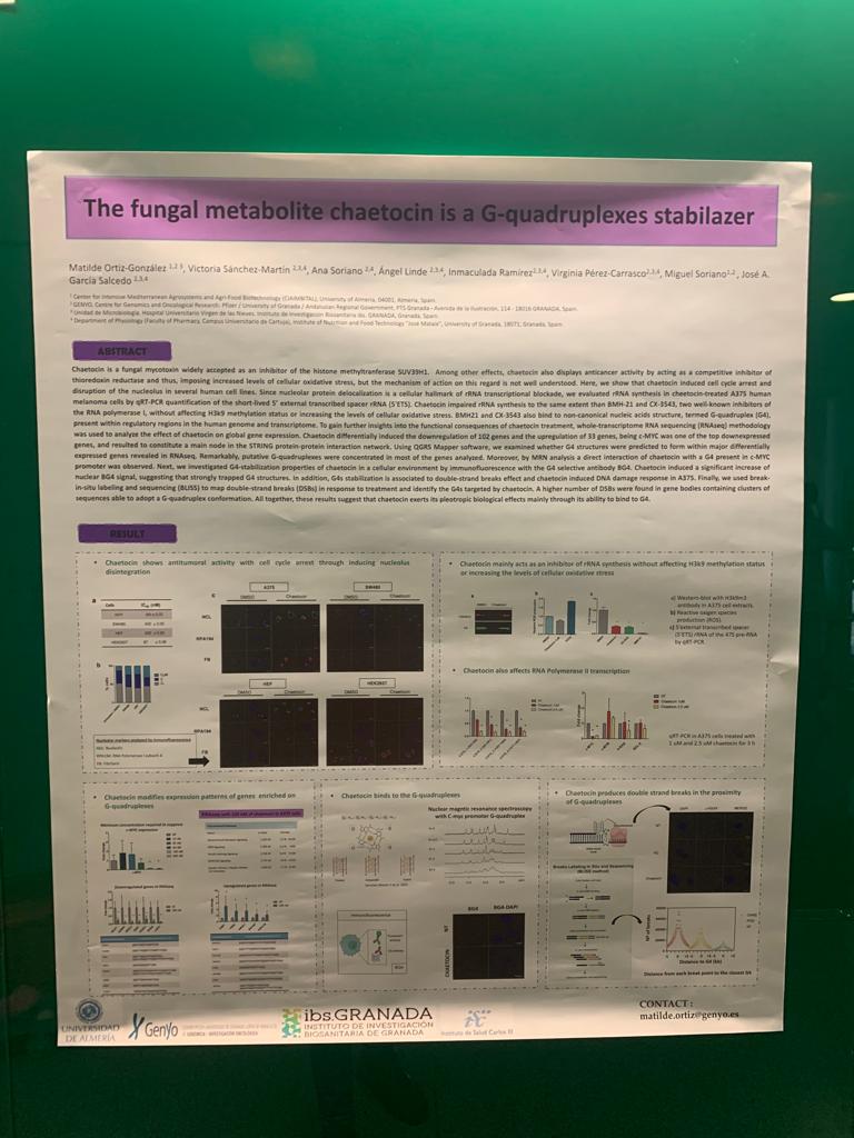 The poster sessions of the #XJornadasCientíficasGenyo have also counted with the participation of members of our lab.