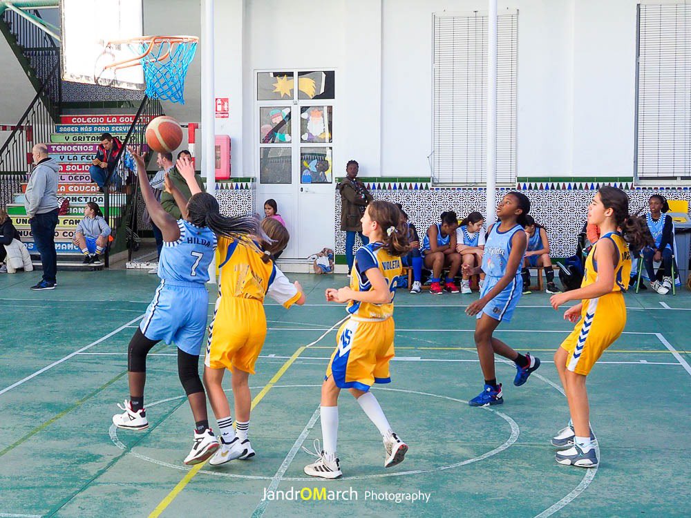 adecgoleta's tweet photo. 📌 RESULTADOS | Liga @FAB_Malaga | J5ª y 6ª | Fase Previa🥇

☺️ Mini’11 Fem. 5️⃣6️⃣ - 4️⃣9️⃣ @CBNovaschool 
😰 @MarbellaBasket 4️⃣6️⃣ - 2️⃣8️⃣ Mini’11 Fem.

Doble jornada de nuestro Mini’11 este fin de semana para concluir la primera fase. Buenos y reñidos partidos‼️

#SomosTUequipo💙 https://t.co/oXnCoAMkcf