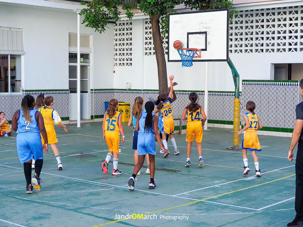 adecgoleta's tweet photo. 📌 RESULTADOS | Liga @FAB_Malaga | J5ª y 6ª | Fase Previa🥇

☺️ Mini’11 Fem. 5️⃣6️⃣ - 4️⃣9️⃣ @CBNovaschool 
😰 @MarbellaBasket 4️⃣6️⃣ - 2️⃣8️⃣ Mini’11 Fem.

Doble jornada de nuestro Mini’11 este fin de semana para concluir la primera fase. Buenos y reñidos partidos‼️

#SomosTUequipo💙 https://t.co/oXnCoAMkcf