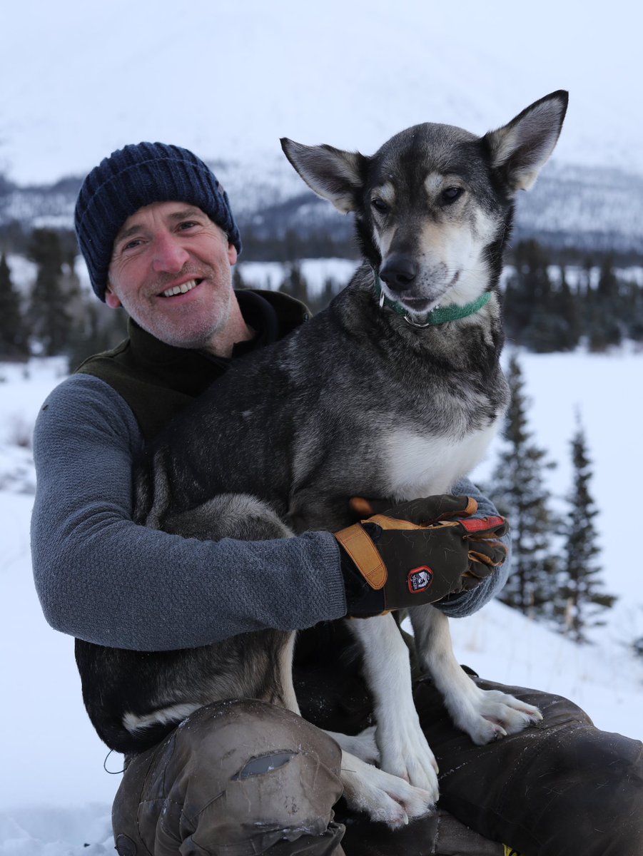 Gordon Buchanan tweet media