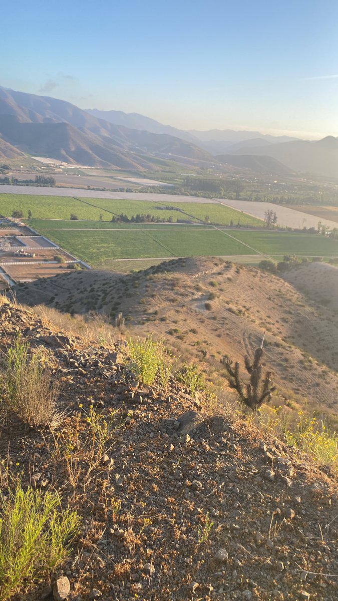 PROLINEOUT's tweet image. Pronto TRAIL Running Marquesa fin de Verano 2023 …pronto full Info….Proline Deportes Inventando Futuro…