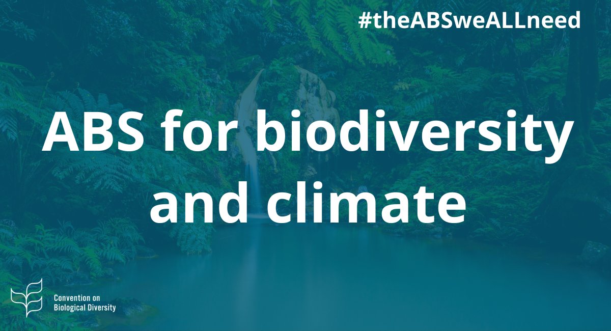 #GeneticResources are essential for food security, health and the prosperity of future generations. 

Accelerating the flow of #benefits from their use destined for the conservation of #biodiversity is one solution to the dual #biodiversity and #climate crises.
#theABSweALLneed