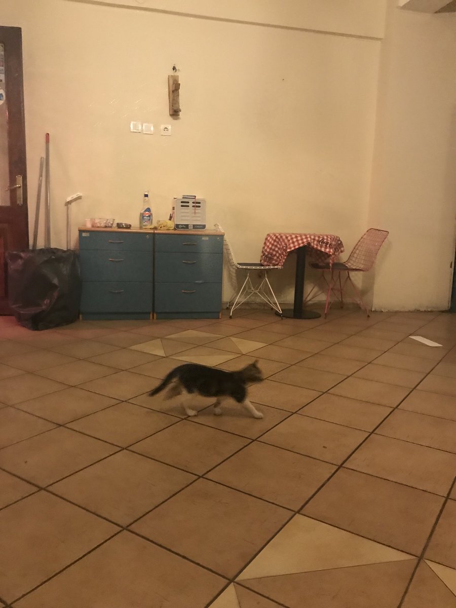 Güngör Körkemli (@gkorkemli) on Twitter photo 