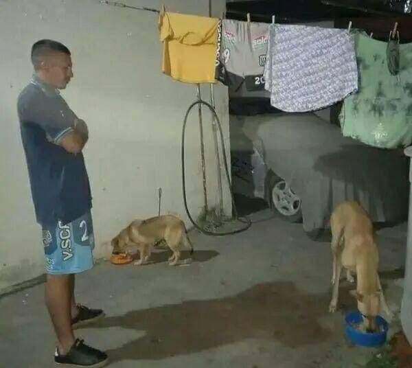 Nadie:

Yo vigilando a mi perro para que no se coma la comida de mi otro perro: