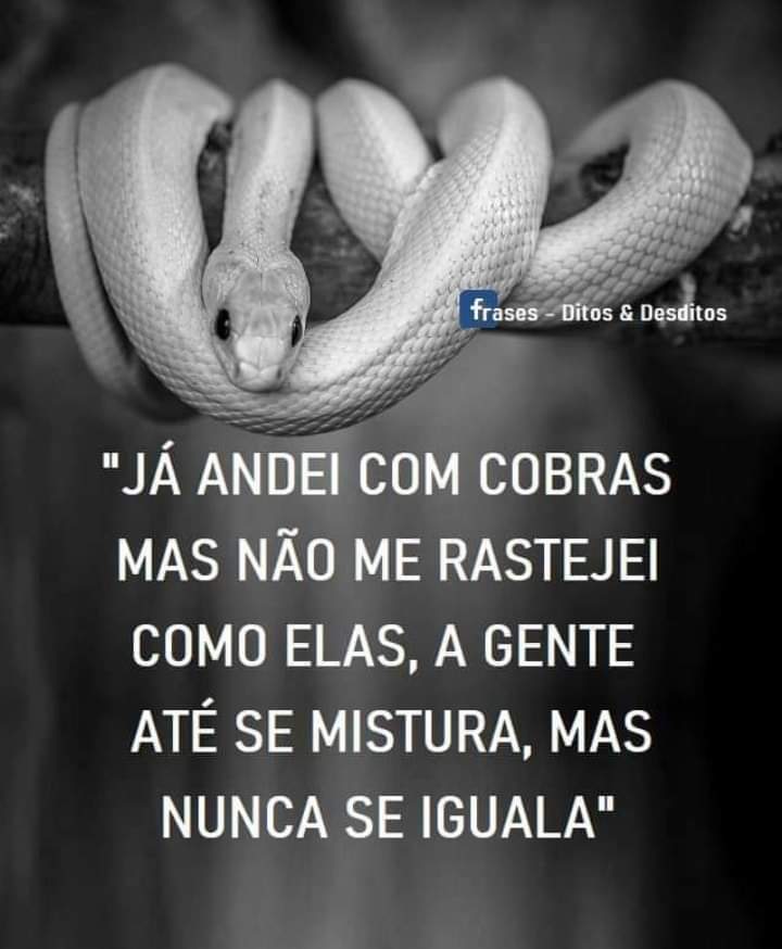 Laniel_Danca's tweet photo. @BiaFragoso28 https://t.co/CUfkrDTxVR