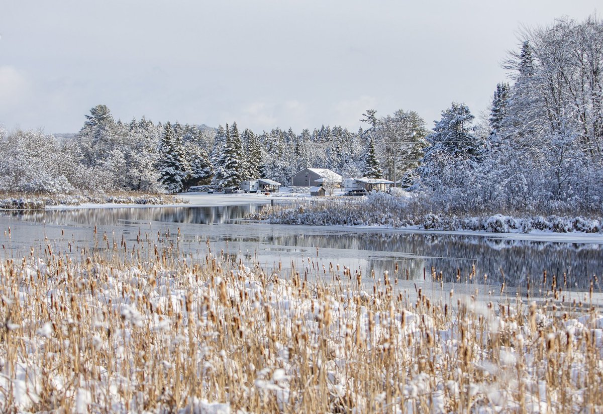 Robert Franklin tweet media