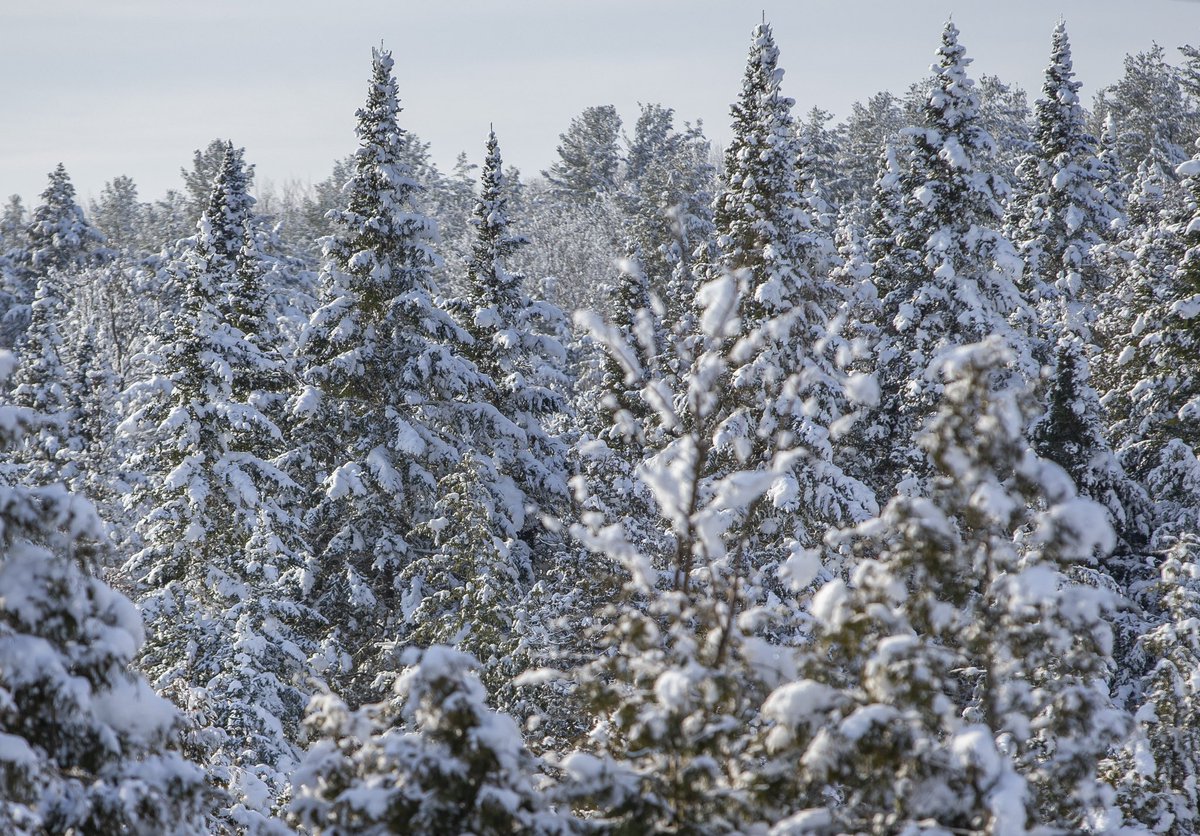 Robert Franklin tweet media