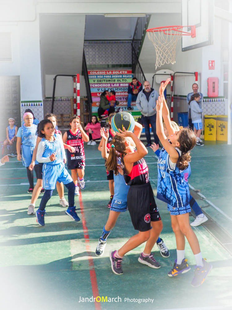 adecgoleta's tweet photo. 📌 RESULTADOS | Liga @FAB_Malaga | #Valorcesto

Buen partido de nuestras chicas del Premini’1314 ante los amigos de @CBAlgazara. Bonito duelo, mucho esfuerzo y buenas jugadas de todas. Gran trabajo‼️

#SomosTUequipo💙 
#vamosgoleta🏀 https://t.co/qiZU6Z1Ccw