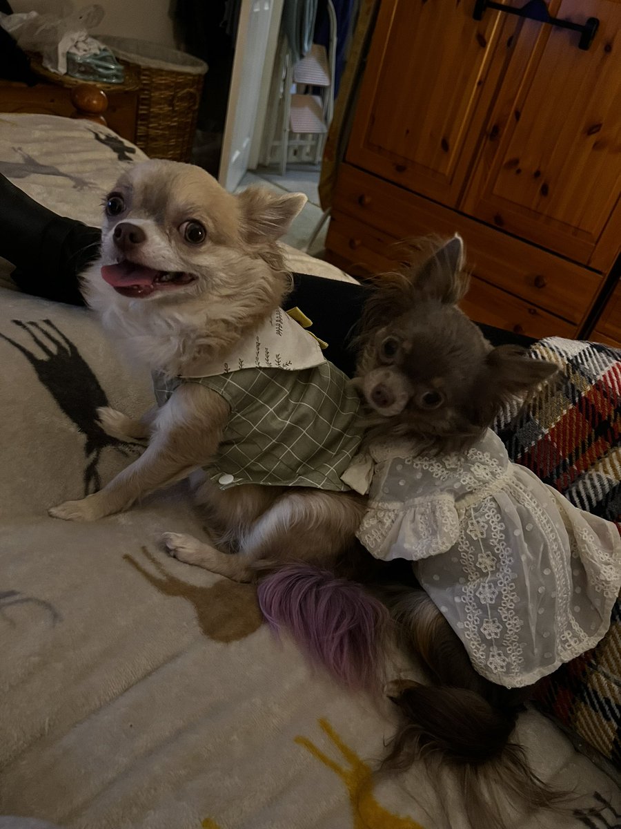 Content from ladyzed