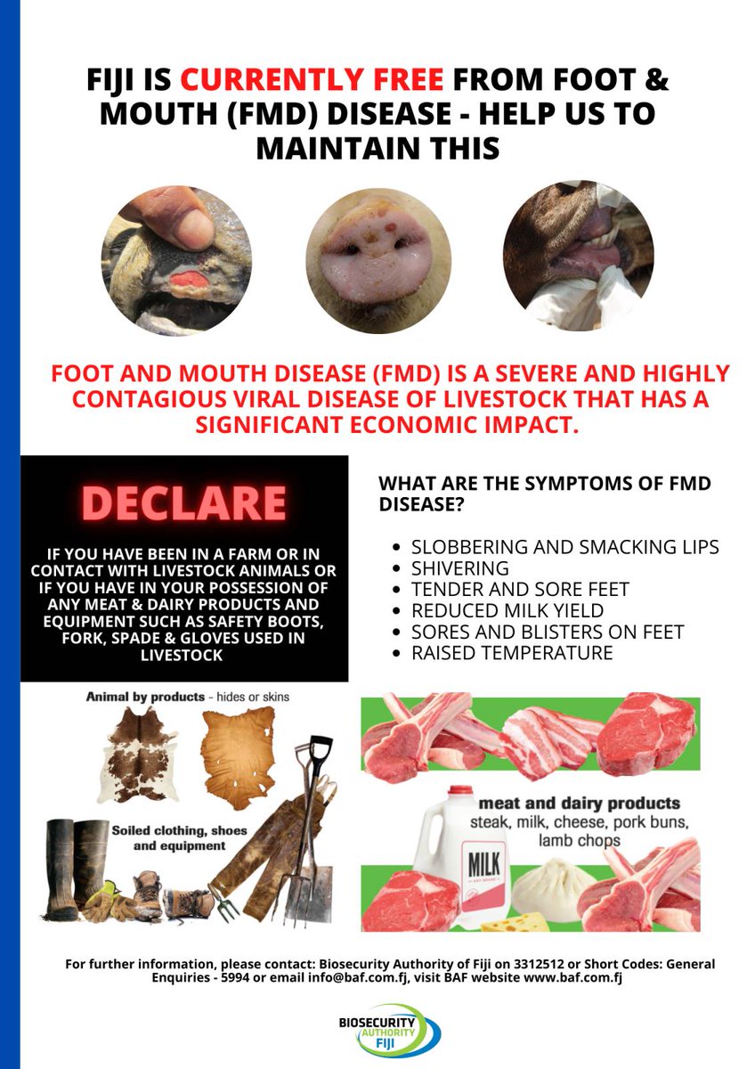 BAF_Fiji's tweet photo. Foot and mouth disease is a severe and highly contagious viral disease of livestock that has a significant economic impact. 

Currently, #Fiji is free from this severe and highly contagious viral disease of animals.

Read more:https://t.co/vqUDkXKWwi

#BAF #TeamFiji #Biosecurity https://t.co/U1GouEYbED