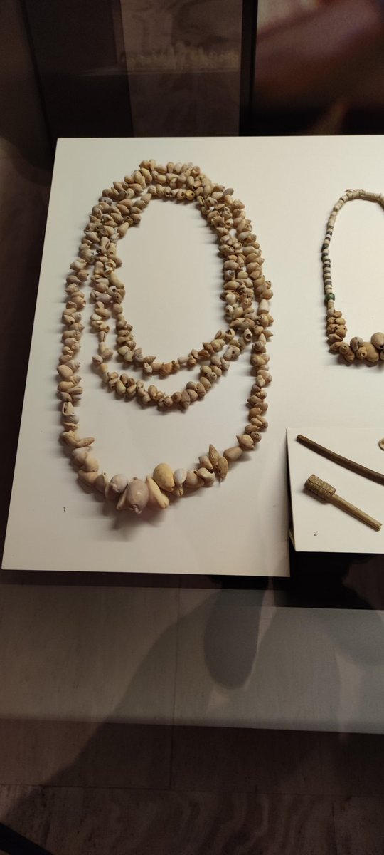 Guilleeeeesk8's tweet photo. Museo arqueológico Nacional de Madrid.
#PrimariaEUMZA
#DCSUVA
#RecursosCCSS https://t.co/Oc5FS3JGvy