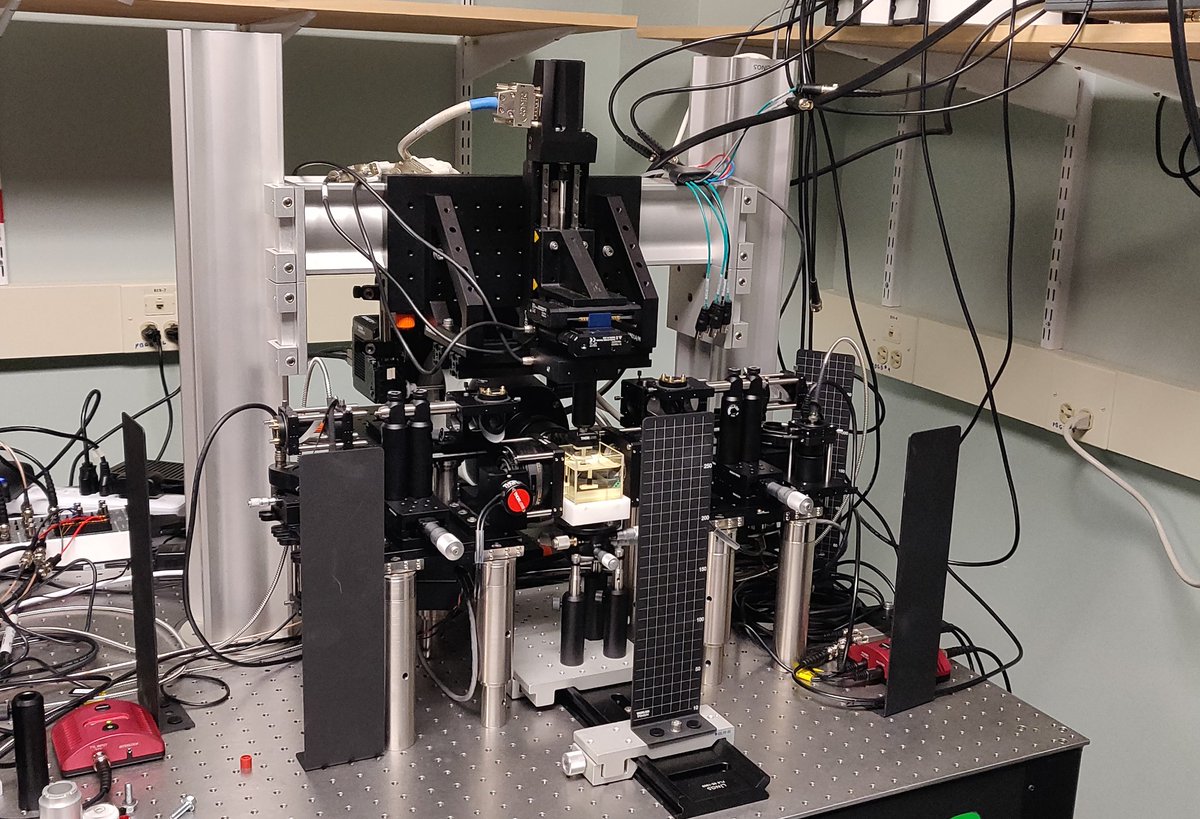 Fabian F. Voigt tweet media