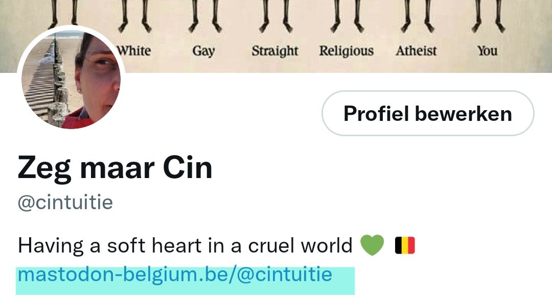 cintuitie's tweet photo. https://t.co/QsT1pXldF0