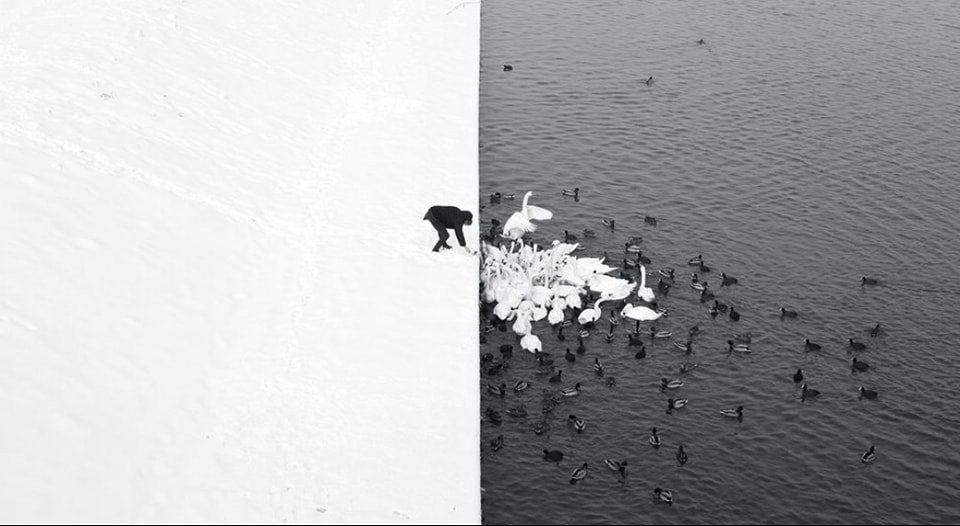 The perfect symmetry between black and white.
'A Man Feeding Swans in the Snow'
@Marcin Ryczek Photography 
This photograph was taken in Krakow, from the Grunwald Bridge.
Rothkoesque