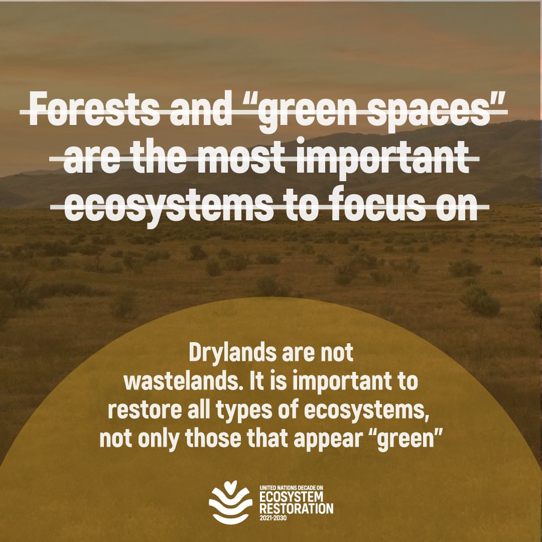 UNBiodiversity's tweet photo. Do you know this misconception about #ecosystem  restoration 🏜️?

#generationrestoration #ForNature

via @UNEP_WestAsia https://t.co/aHVUlLUNEs