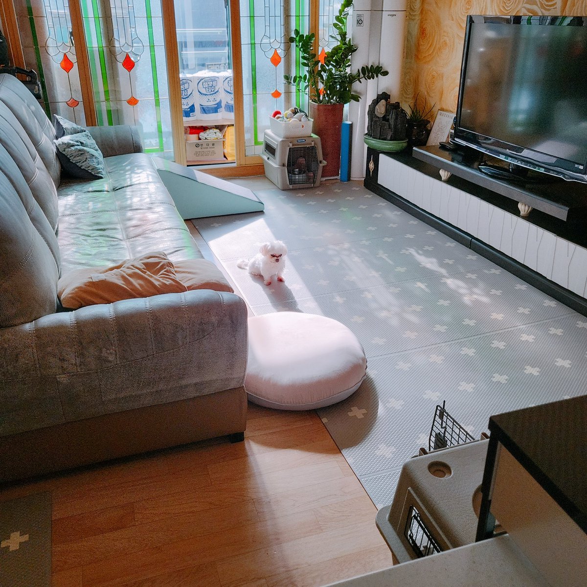Hobbang_0's tweet photo. 꼭 해 들어오는 시간에는 저 자리에 앉아서 한참동안 멍때리면서 일광욕 한다 https://t.co/Dzh0ezAXjd