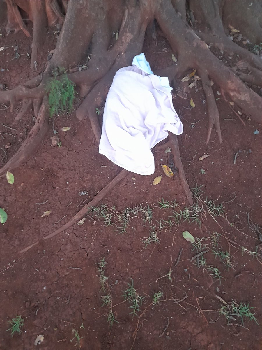a3Route's tweet photo. 06:57 Someone  has decided to throw the kid away, ako next to  ngong  SDA church, Ngong,needs help   @ntvkenya @NPSOfficial_KE  https://t.co/082ET3AKHq via @nyamwayagabu