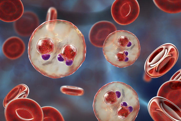 12 cases of transfusion-transmitted malaria in the US between 2000-2021 inform new <a href="/FDA/">FDA</a> guidance on deferrals and pathogen reduction for high-risk donors. Read more at: bit.ly/ttm_2023 #Blooducation #TransfusionMedicine #BloodDonation <a href="/AABB/">AABB</a>