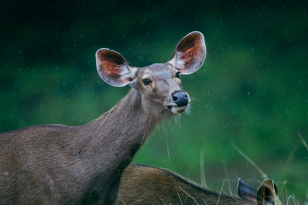 Kiran Ghadge tweet media