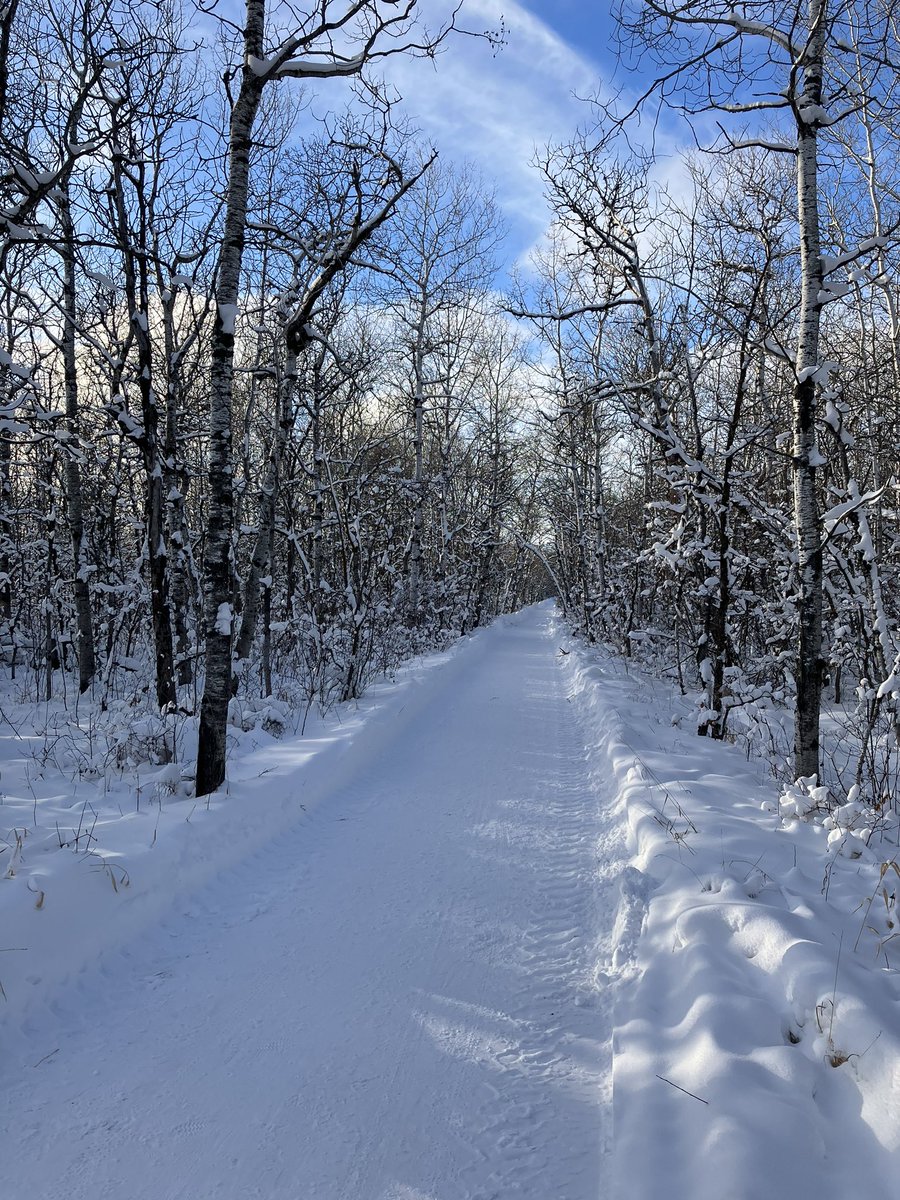 mshreer79's tweet photo. π²βοΈ @NorcoBicycles @BlackburnDesign @veetireco @assiniboinepark @ManitobaCycling @MBFatbikeAdvent @BikeWinnipeg #fatbikelife #wintercycling #minusseventeen @oakley #fatbikemb https://t.co/0788W3saEZ