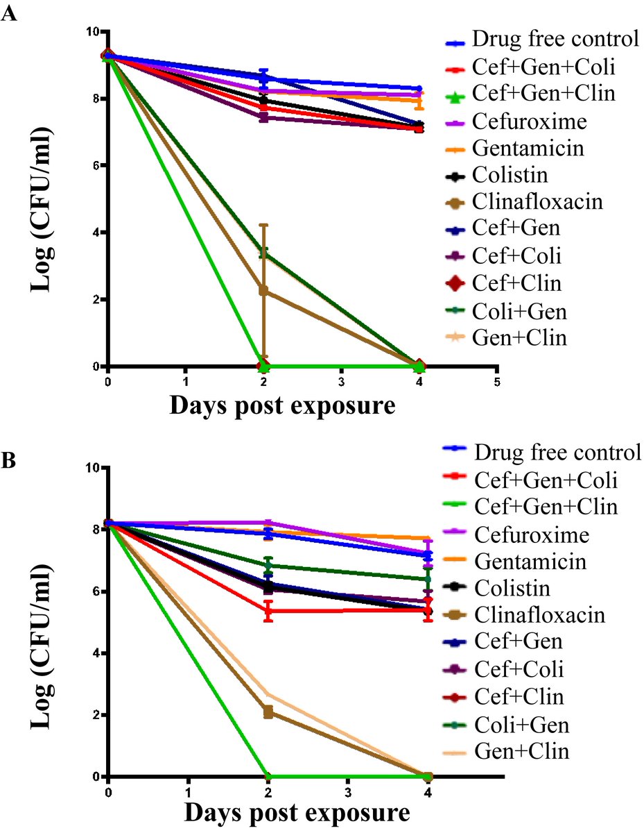 IMD_Journal's tweet photo. An research by Prof. Ying Zhang on the identification of Clinafloxacin + Cefuroxime + Gentamicin drug combination that eradicates persistent P. aeruginosa infection in a murine cystic fibrosis model published in IMD recently.
https://t.co/lI9AyGTXwf https://t.co/XL9mMtQVhi