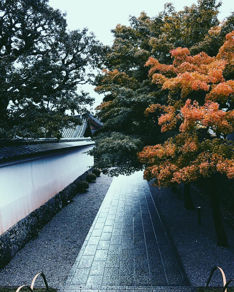 Jennife44324561's tweet photo. •Japan街景•iPhone 8+ back camera•#zhengphotography #photography #photooftheday #photographerslife #photographysouls #正攝影 https://t.co/4FZQUWjNRr