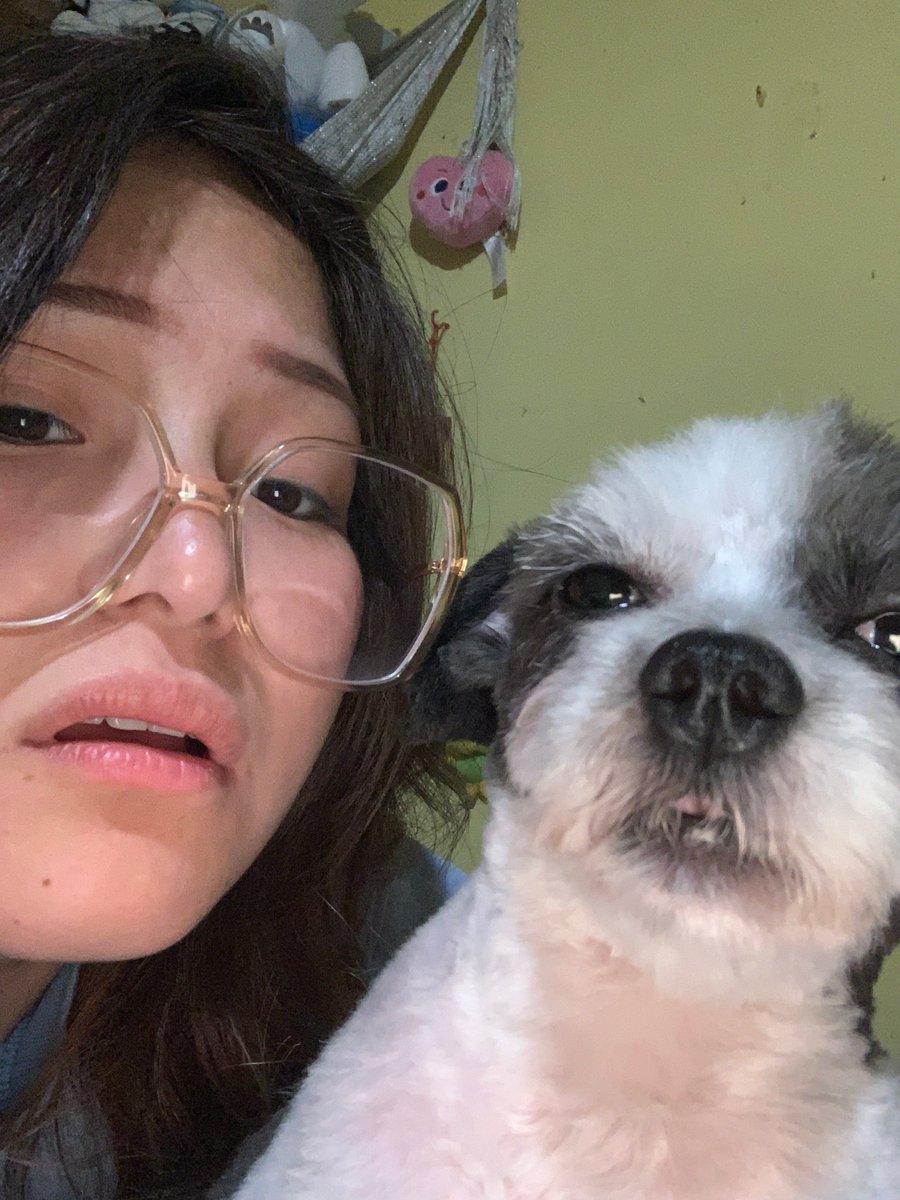 POV: you're watching tiktoks w/ your dog &amp; accidentally open the camera