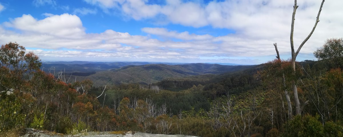 The breathtaking views from #SevenAcreRock. It just breaks my heart to see all the logging still occurring throughout the region.