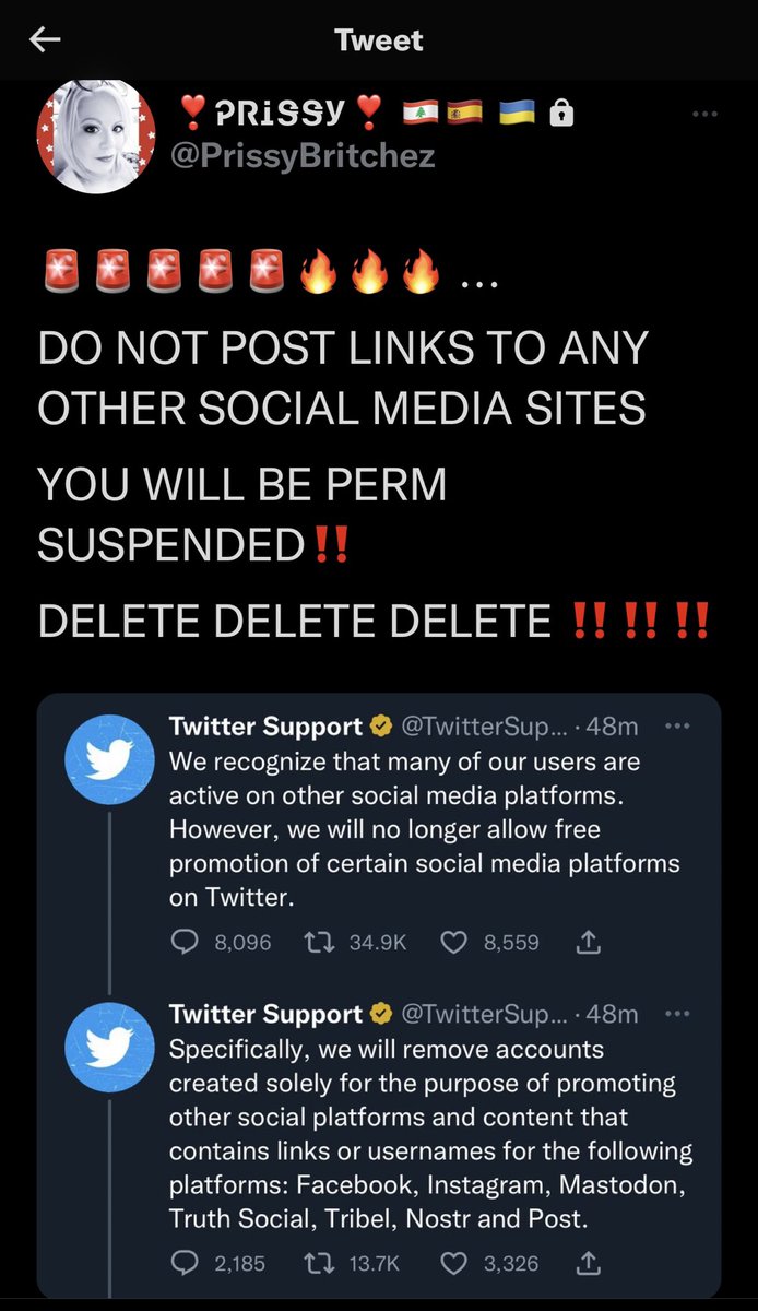 Pam Resists🇺🇸🇺🇦💔💔💔 (@resisterforever) on Twitter photo 