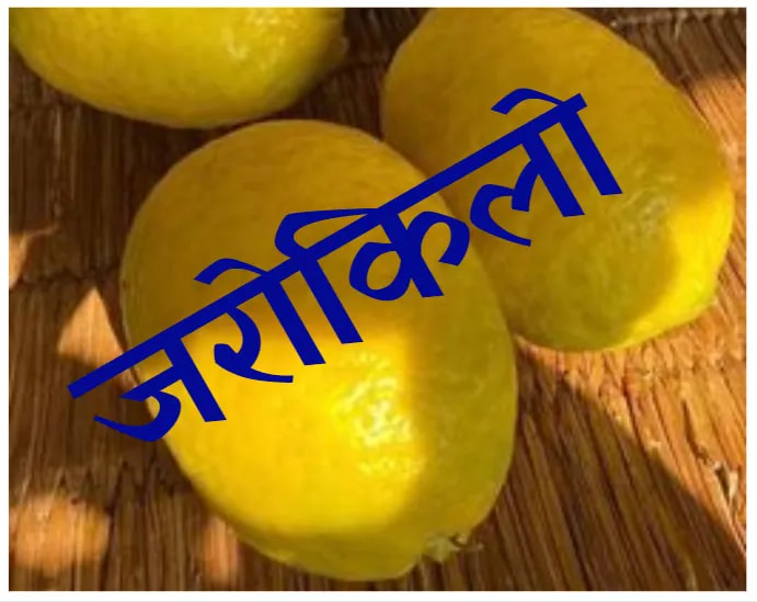 Nepalmata's tweet photo. अमिलो खाने मौसम आयो, तपाईंलाई मन पर्छ ?
#jarokilo #जरोकिलो #जरोकिलो_पढ, #जरोकिलो_बुझ, #जरोकिलोमा_आबद्ध_बन र #जरोकिलो_अनुसार_कर्म_गर |
#Read_JaroKilo, #understand_JaroKilo, #Join_JaroKilo, #Act_JaroKilo https://t.co/bH2BGpy6KV