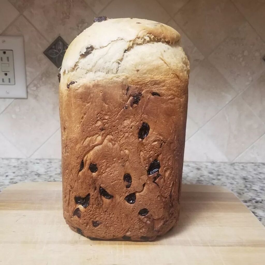 carmelamartino's tweet photo. First panettone of the season is done and the house smells wonderful!
#Christmasbread #italian #panettone https://t.co/1X3Zd7Nk2G https://t.co/o9LzCx87gH