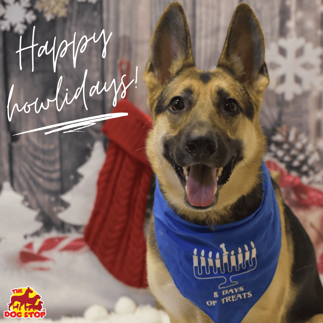 Wishing you all a happy, safe, and healthy holiday season! #happyhanukkah #happyholidays