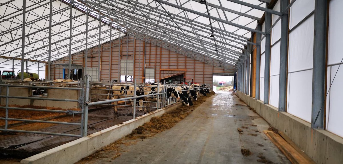 WeCover_Steel's tweet photo. Located in Pitt Meadows, BC, this airy, light-filled, and well ventilated fabric roof barn has everything needed for these dairy cows. For better production and the health of your herd, go with #WeCover. https://t.co/lJtJaG3qob