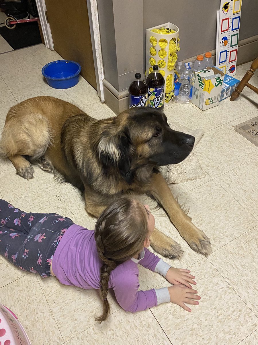 Stephie_Doll's tweet photo. Just a girl and her pup…❤️❤️ https://t.co/kb3Lzc5uOt